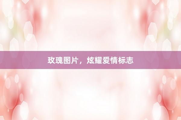 玫瑰图片，炫耀爱情标志